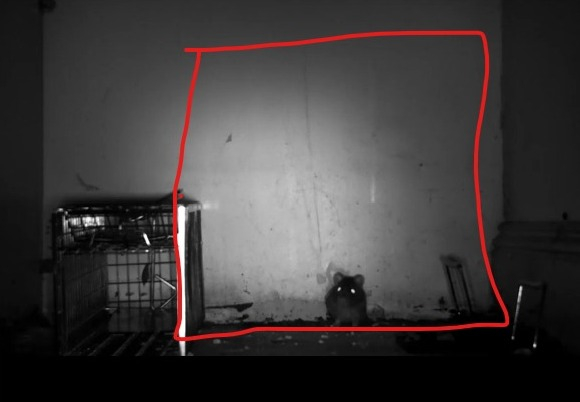 Cover photo of PDSE Pest Control Services